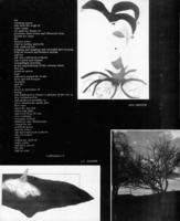 1975-Prelude-060