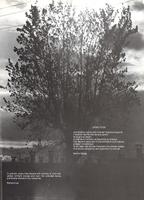 1980-Prelude-077