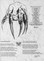 1997-Prelude-071